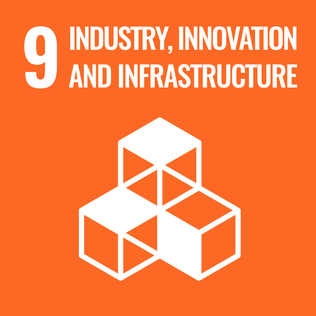 SDG Goals e web goal 09
