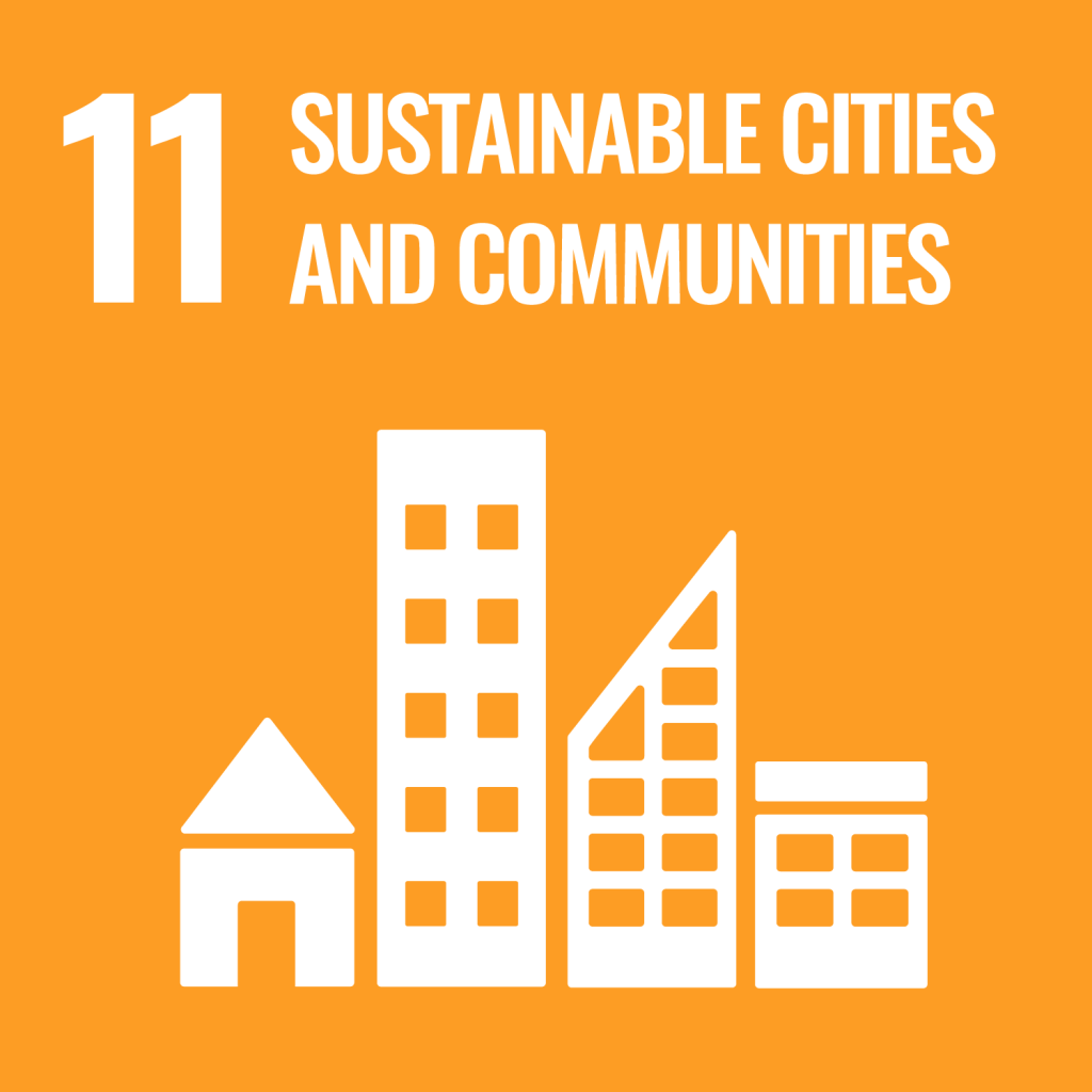 SDG Goals e web goal 11