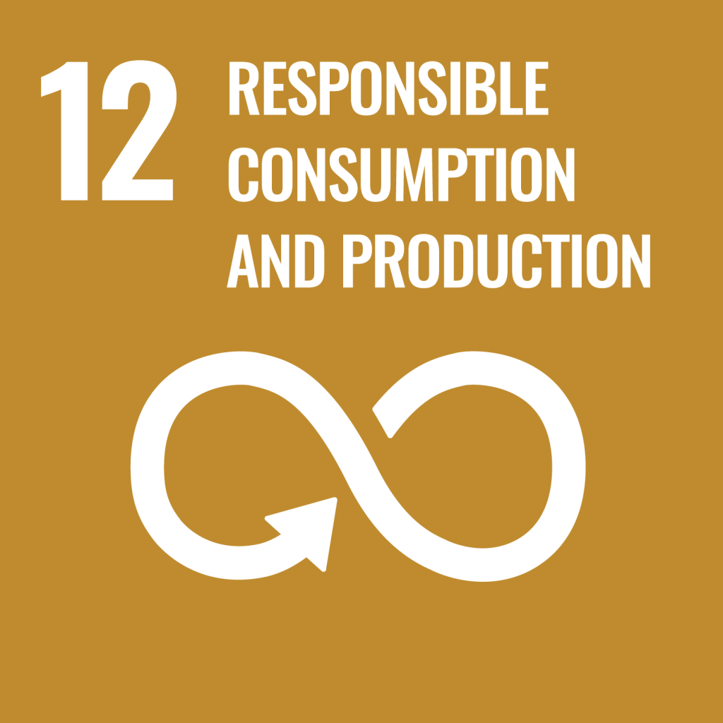 SDG Goals e web goal 12