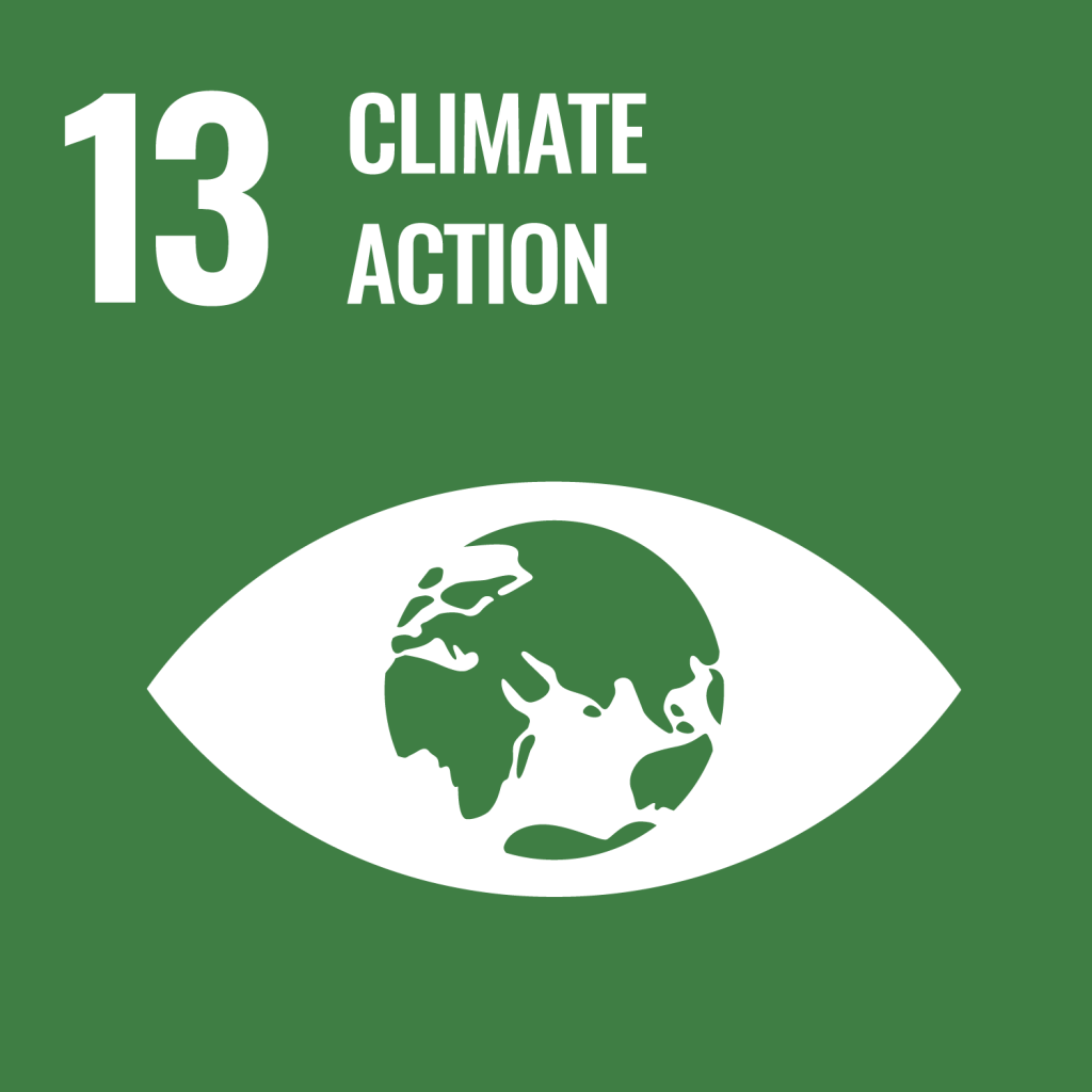 SDG Goals e web goal 13