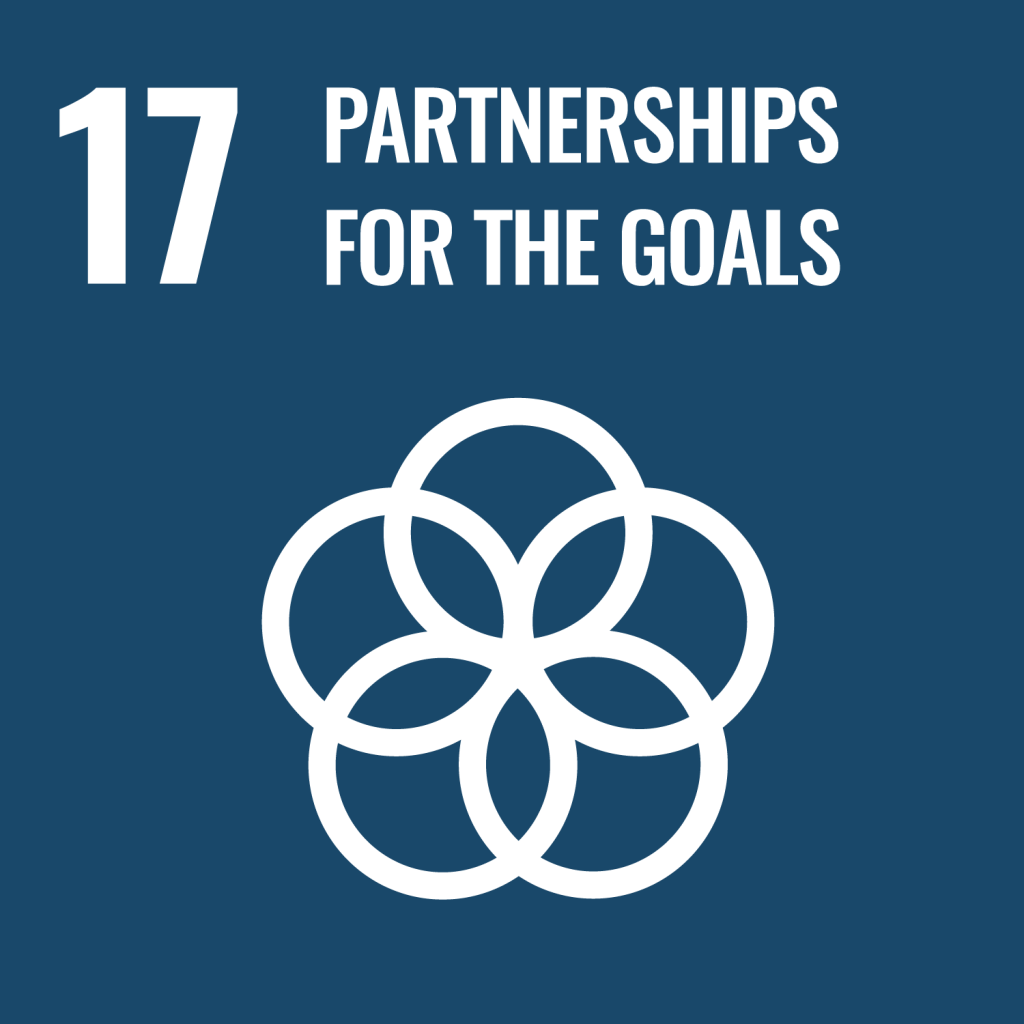 SDG Goals e web goal 17